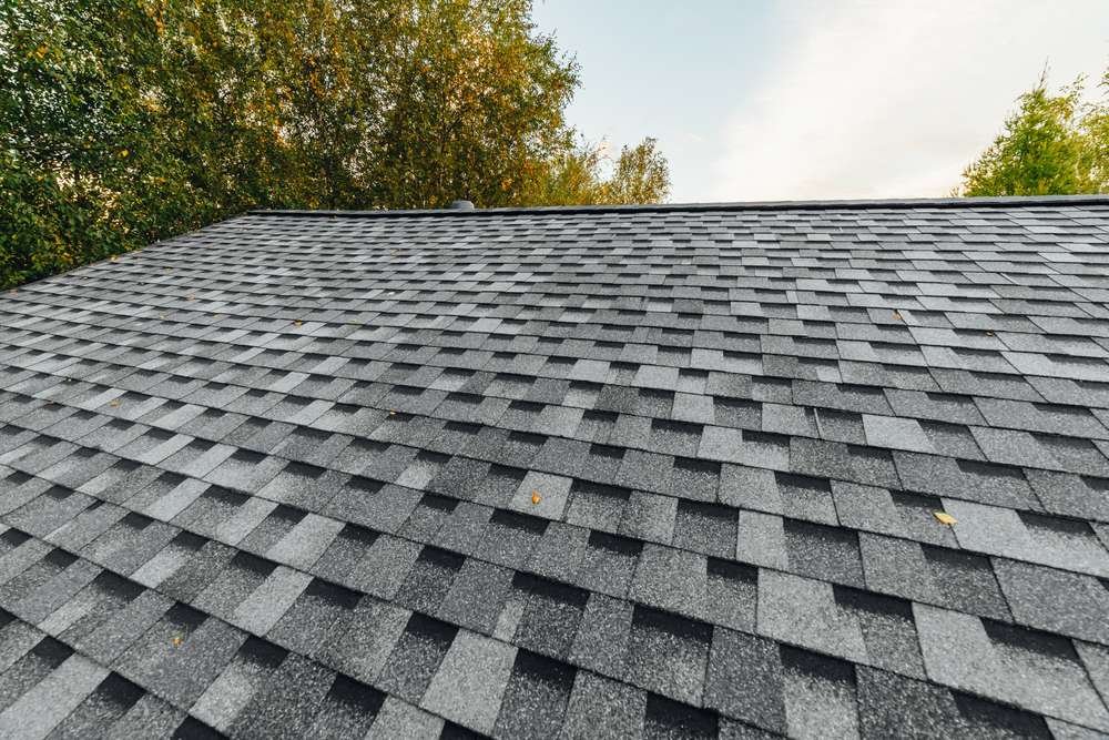 Shingle roof in West North Carolina